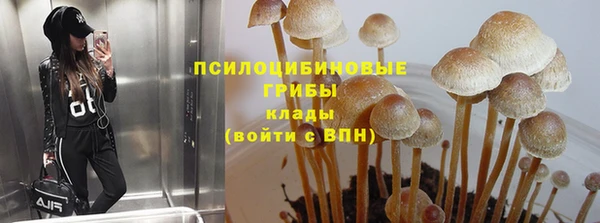 ГАЛЛЮЦИНОГЕННЫЕ ГРИБЫ Михайловка