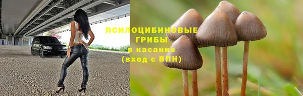 трава Михайлов