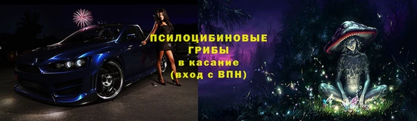 ГАЛЛЮЦИНОГЕННЫЕ ГРИБЫ Михайловка