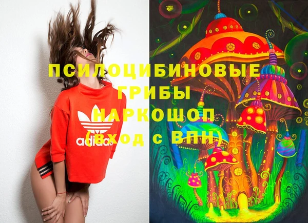 ГАЛЛЮЦИНОГЕННЫЕ ГРИБЫ Михайловка