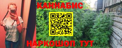 стафф Пенза