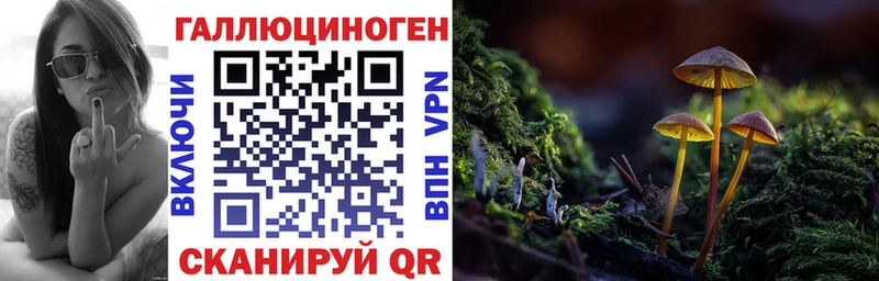 Псилоцибиновые грибы GOLDEN TEACHER  купить наркотик  Шебекино 