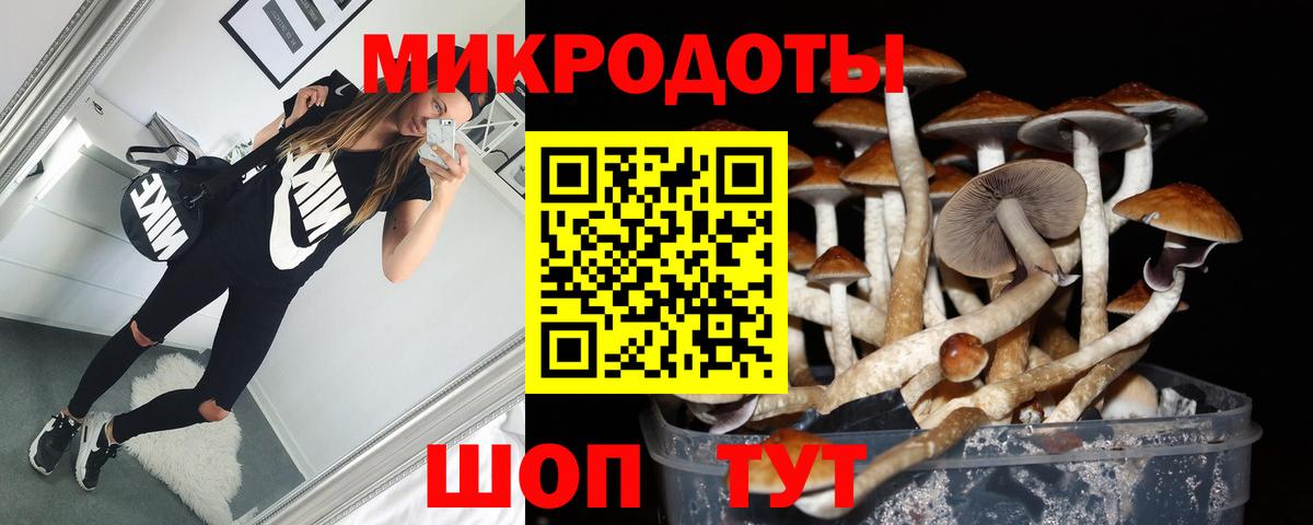 Галлюциногенные грибы Psilocybine cubensis  Псилоцибиновые грибы Psilocybine cubensis  Вход с VPN  купить   Шебекино 